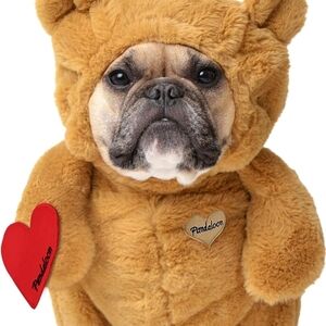 Brown Teddy Bear Dog Costume